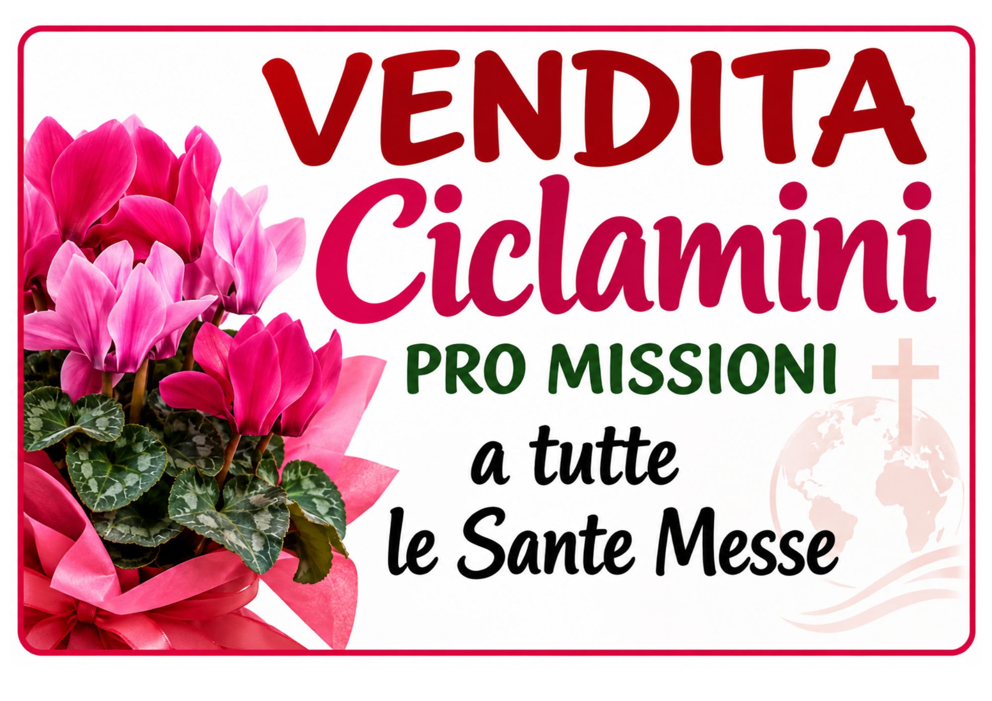 ciclamini